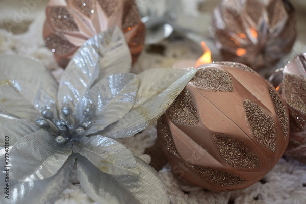 Obraz Flores e flocos de neve