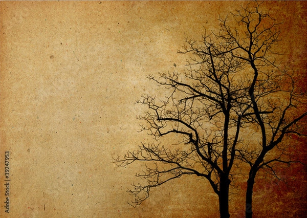 Obraz Abstract background branch on old paper