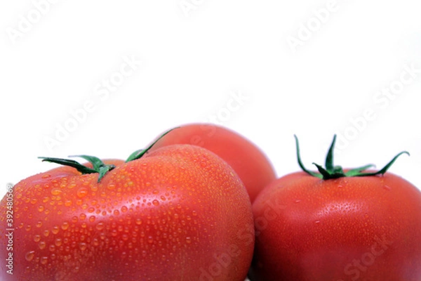 Obraz tomato isolated on white background