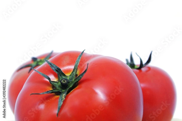 Obraz tomatoes on a white background