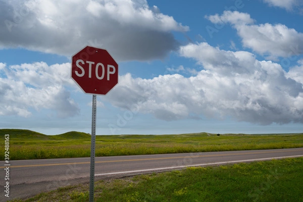 Obraz Stop sign against blue sky with road in background