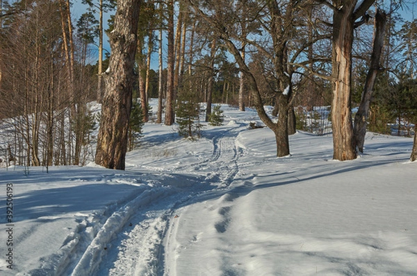 Obraz winter landscape