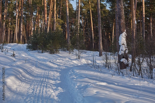 Obraz winter landscape