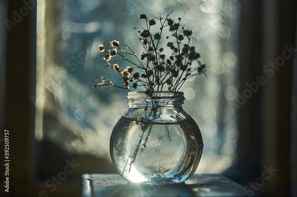 Obraz flowers in a vase