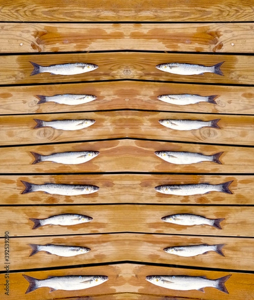 Fototapeta Peces después de la pesca
