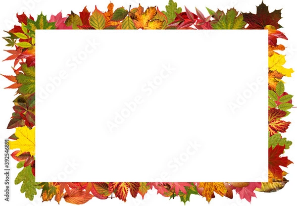 Obraz Autumn photo frames Made of autumn leaves