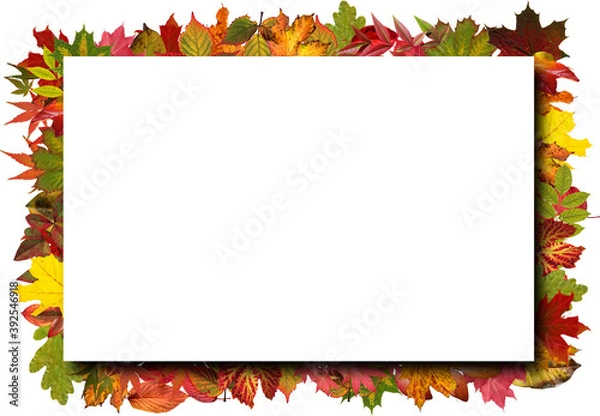 Fototapeta Autumn photo frames Made of autumn leaves