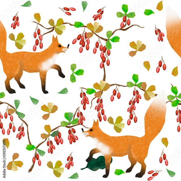 Fototapeta 
Seamless pattern on white background, red fox and barberry bush with red berries