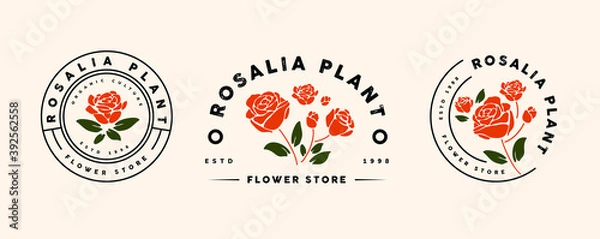 Obraz nature and flower logo template