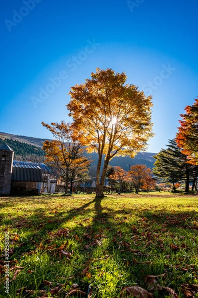 Obraz 四国カルスト