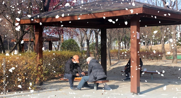 Fototapeta 쉼터 바둑