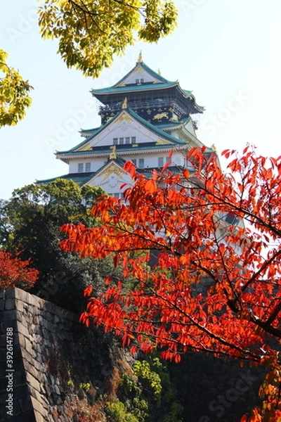 Obraz 紅葉で色付く大阪城