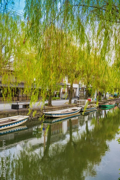 Fototapeta 秋の水郷柳川の観光【福岡県柳川市】