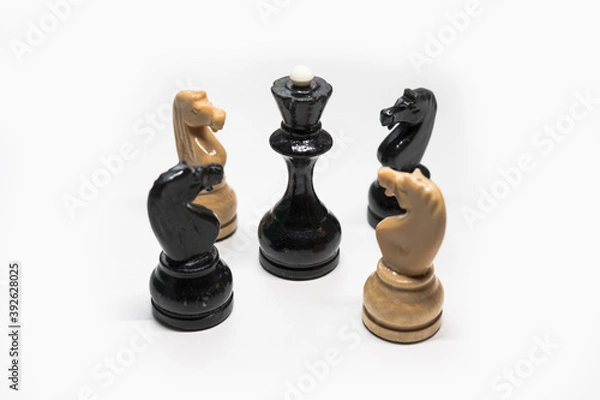 Fototapeta chess pieces knight and Queen on a white background
