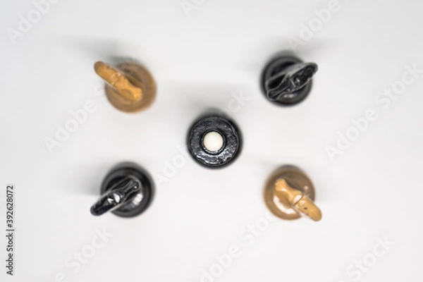 Obraz chess pieces knight and Queen on a white background