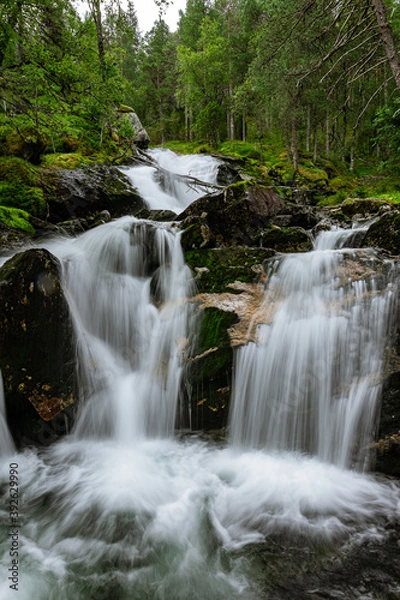 Fototapeta Soft waterfall in a green forest
