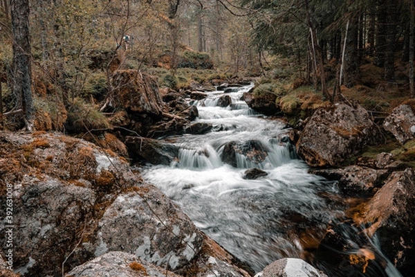 Fototapeta Stream of a creek with cascades