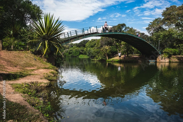 Fototapeta bridge over the river