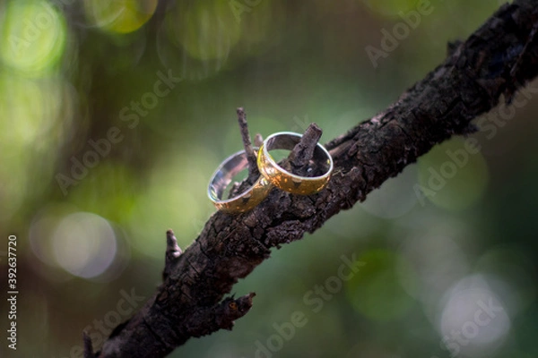Fototapeta wedding ring on a tree