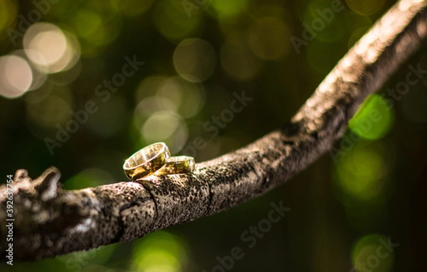 Obraz wedding rings