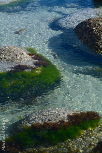 Fototapeta Sea and rocks