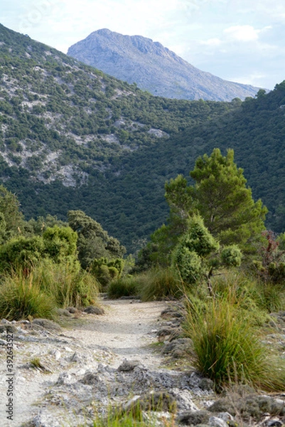 Fototapeta Mountain hike