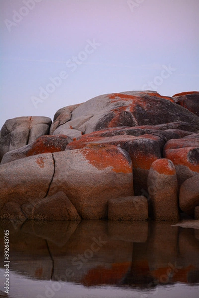 Fototapeta Rocks on the coast