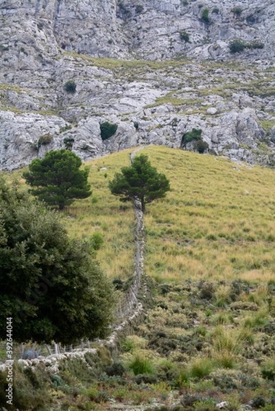Fototapeta Stone fence