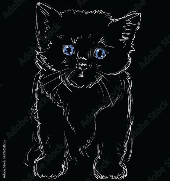 Fototapeta Vector Illustration of Adorable Blue-Eyed Cat on Black. Sketched Little Cute Kitten. Monochrome Freehand Drawing. Kids Style Graphic. Stylized Cartoon Beautiful Kitty. Realistic Drawing. Animal Art.