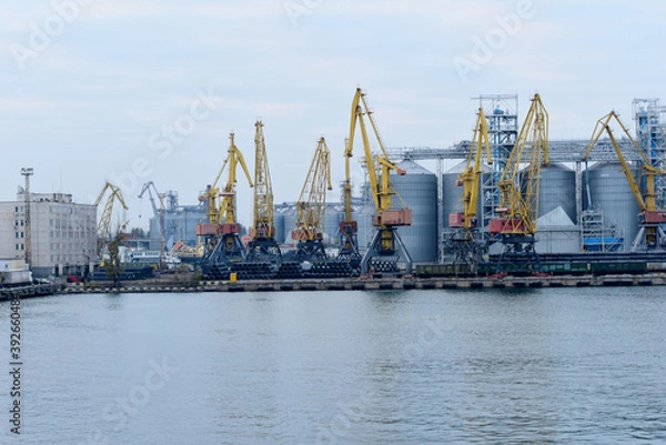 Fototapeta Large loading cranes in the port of Odessa.