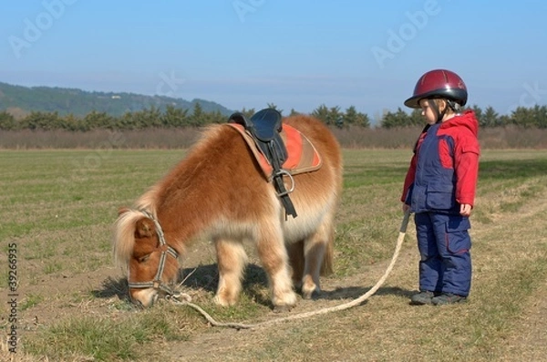 Obraz boy and pony