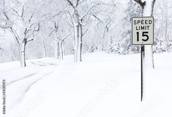 Obraz Snow Covered Road