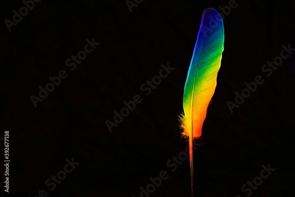 Fototapeta Prism feather
