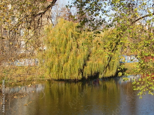 Obraz autumn time
tree
  river
reflection
