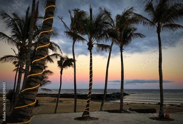 Fototapeta sunset on the beach