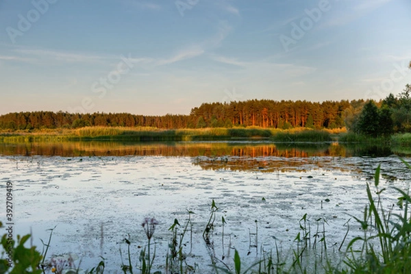 Obraz landscape with lake