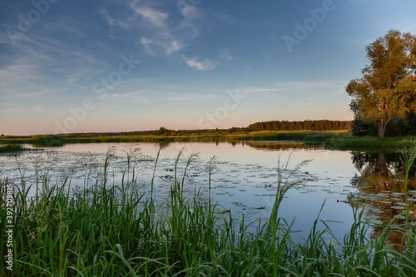 Obraz sunset over the river