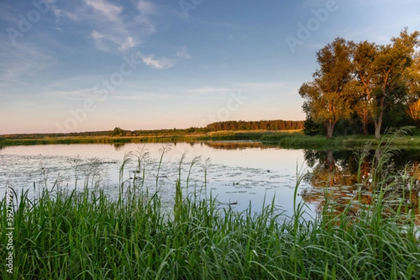 Obraz lake in autumn