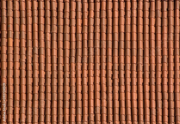 Obraz Roof tiles bitmap texture (for exterior designers)