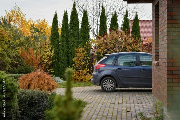 Fototapeta Back part of the car parked near the garage on the background of garden.