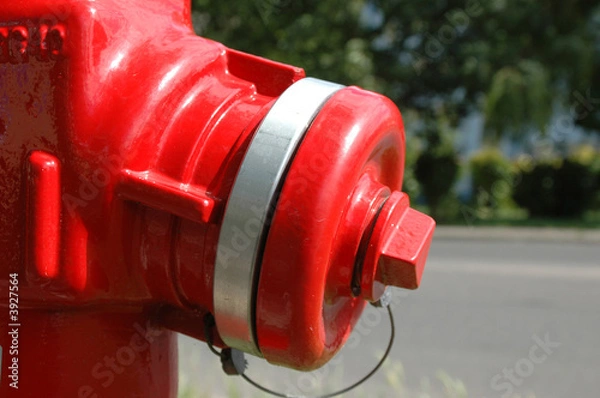 Obraz Fire Hydrant