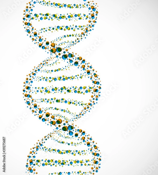 Fototapeta DNA molecule