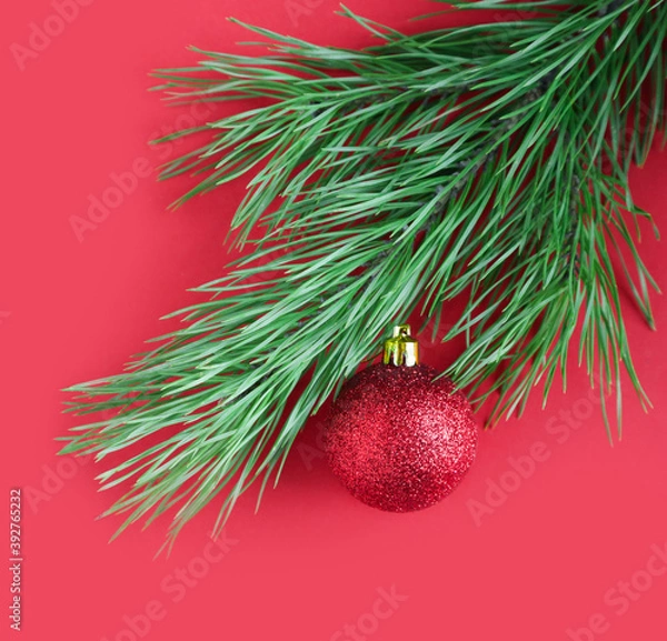 Fototapeta The pine branch is decorated with a shiny red ball. Christmas or New Year concept. Minimalism