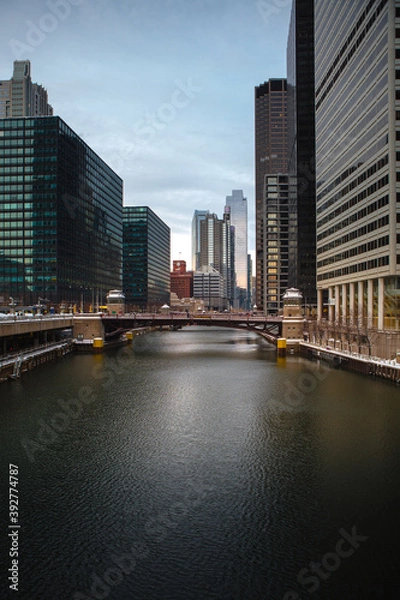Obraz Downtown Chicago looking at the buildings skyline from the Chicago River 
