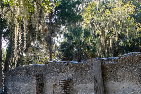 Obraz Bonneventure Cemetary