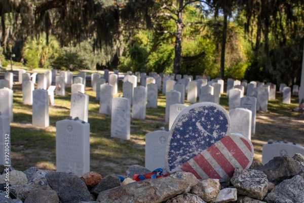 Obraz Bonneventure Cemetary