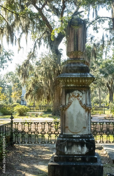 Obraz Bonneventure Cemetary