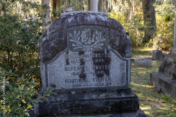 Obraz Bonneventure Cemetary