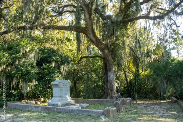 Obraz Bonneventure Cemetary