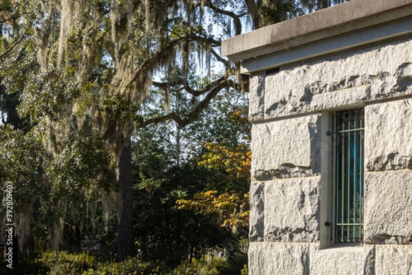 Obraz Bonneventure Cemetary